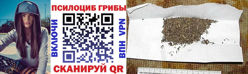 Купить где  Спасск-Рязанский  Псилоцибиновые грибы мицелий 